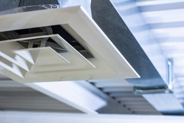 Best Commercial Air Duct Cleaning  in South Haven, IN